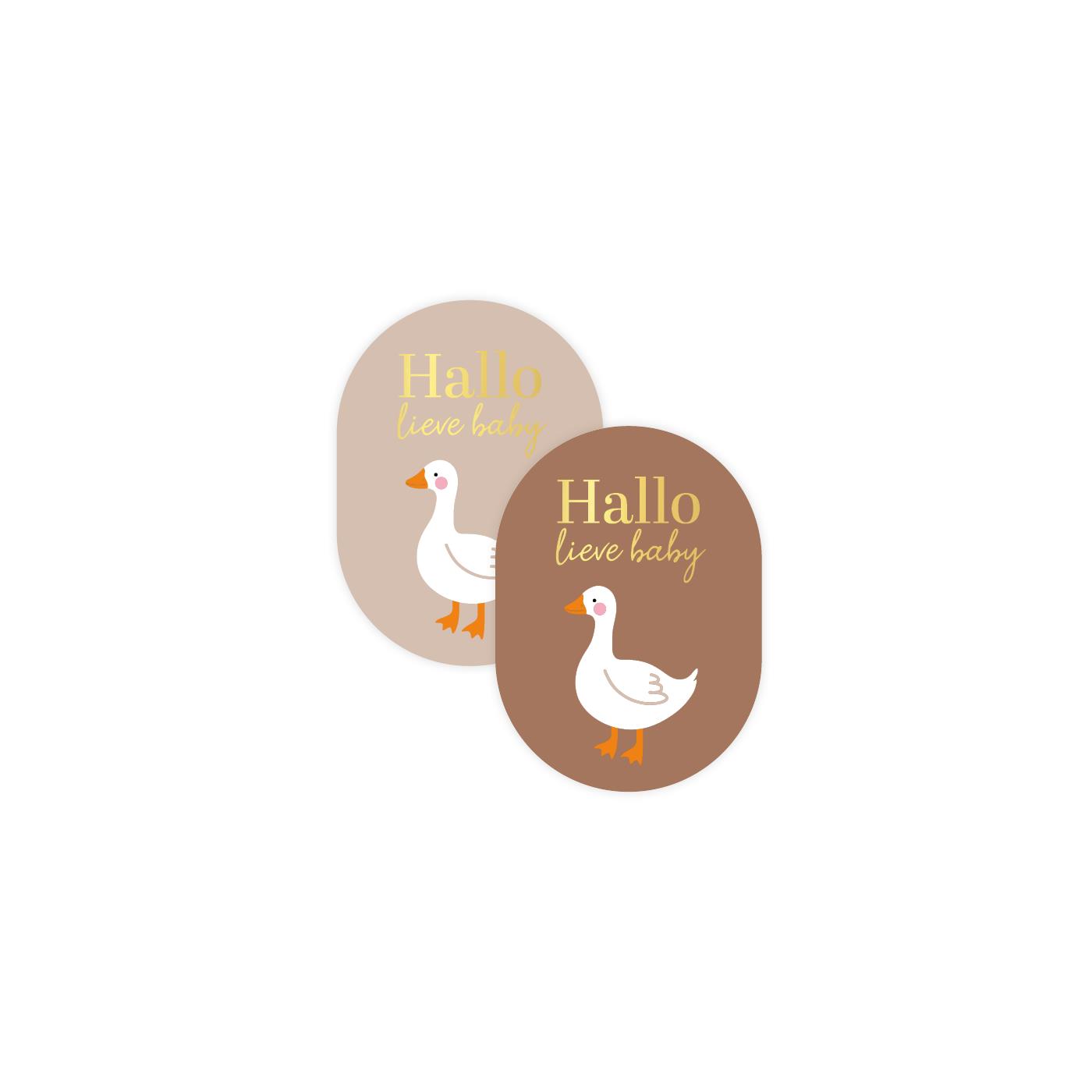 Stickers Hallo lieve baby + goose 250st