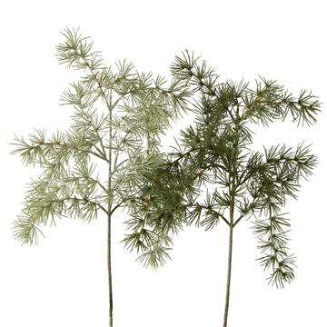 Decoratietak Pijnboom H62cm