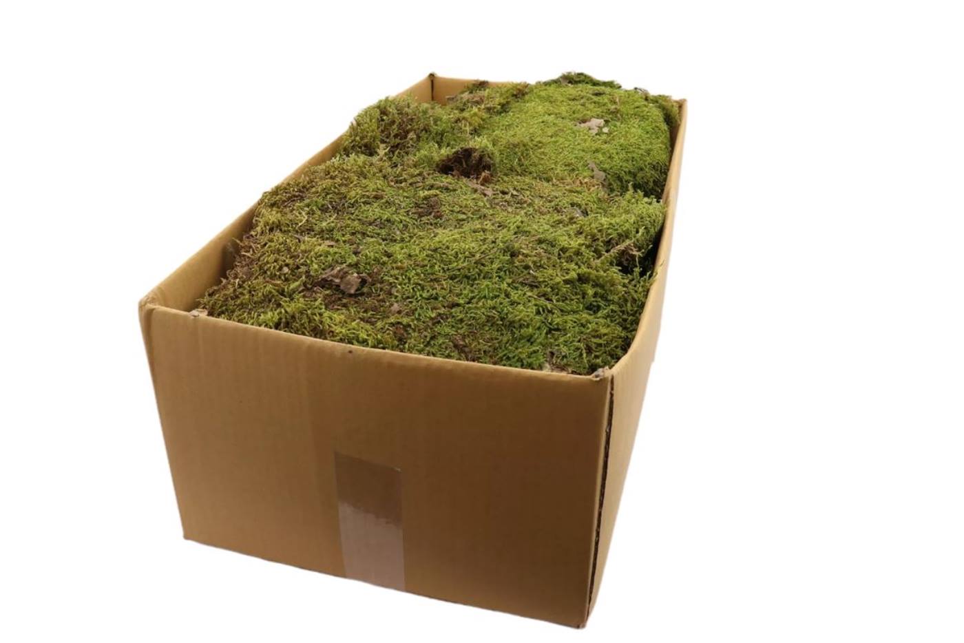 Decoratie Platmos naturel 2 kg