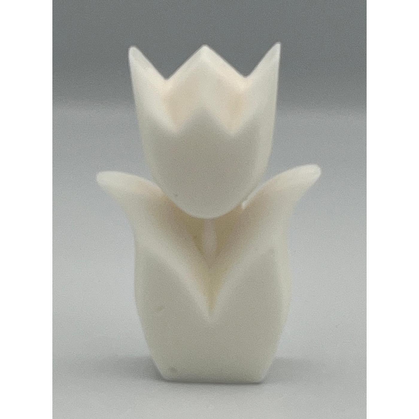 Tulp geur Kokos
