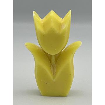 Tulp geur Pina Colada