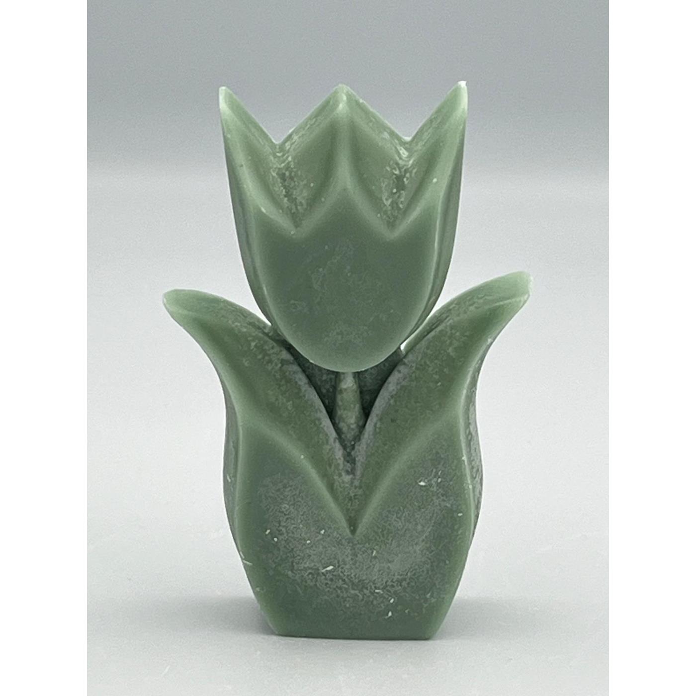 Tulp geur Nivi