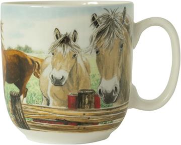 Wiebe's Farm Beker XL paard 41cl 6st