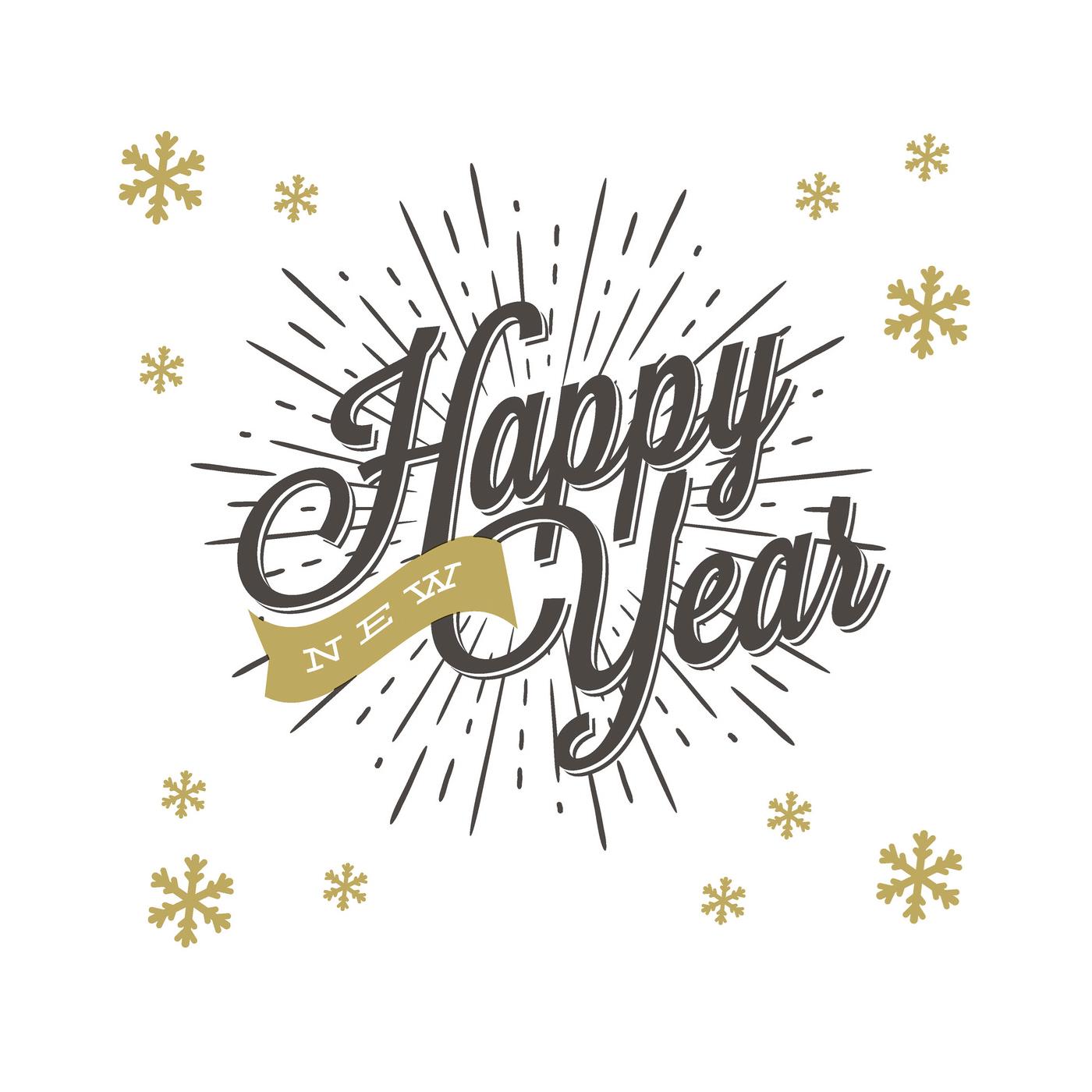 Duni Servetten New Year 33cm