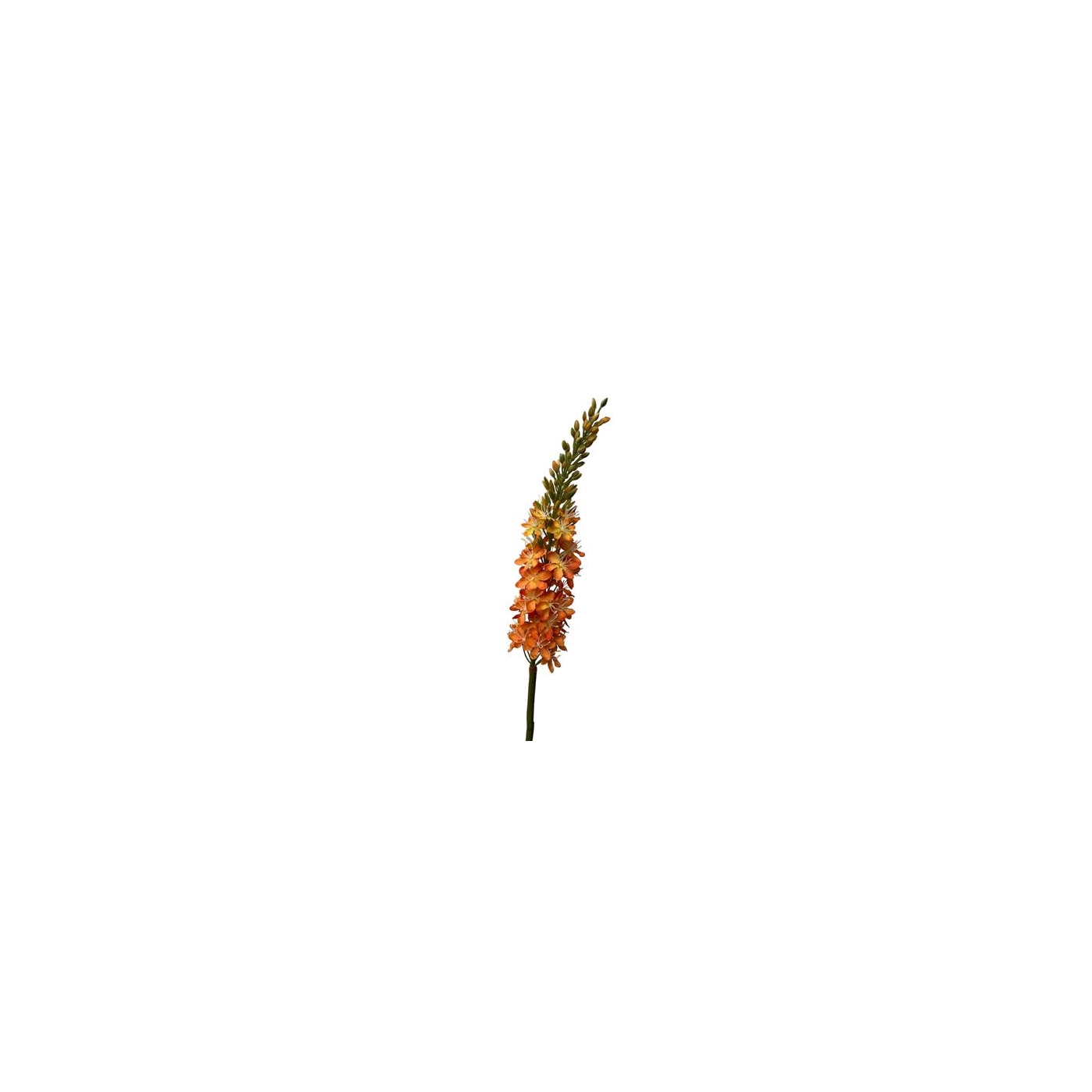 Kunstbloem eremures spray 82cm oranje