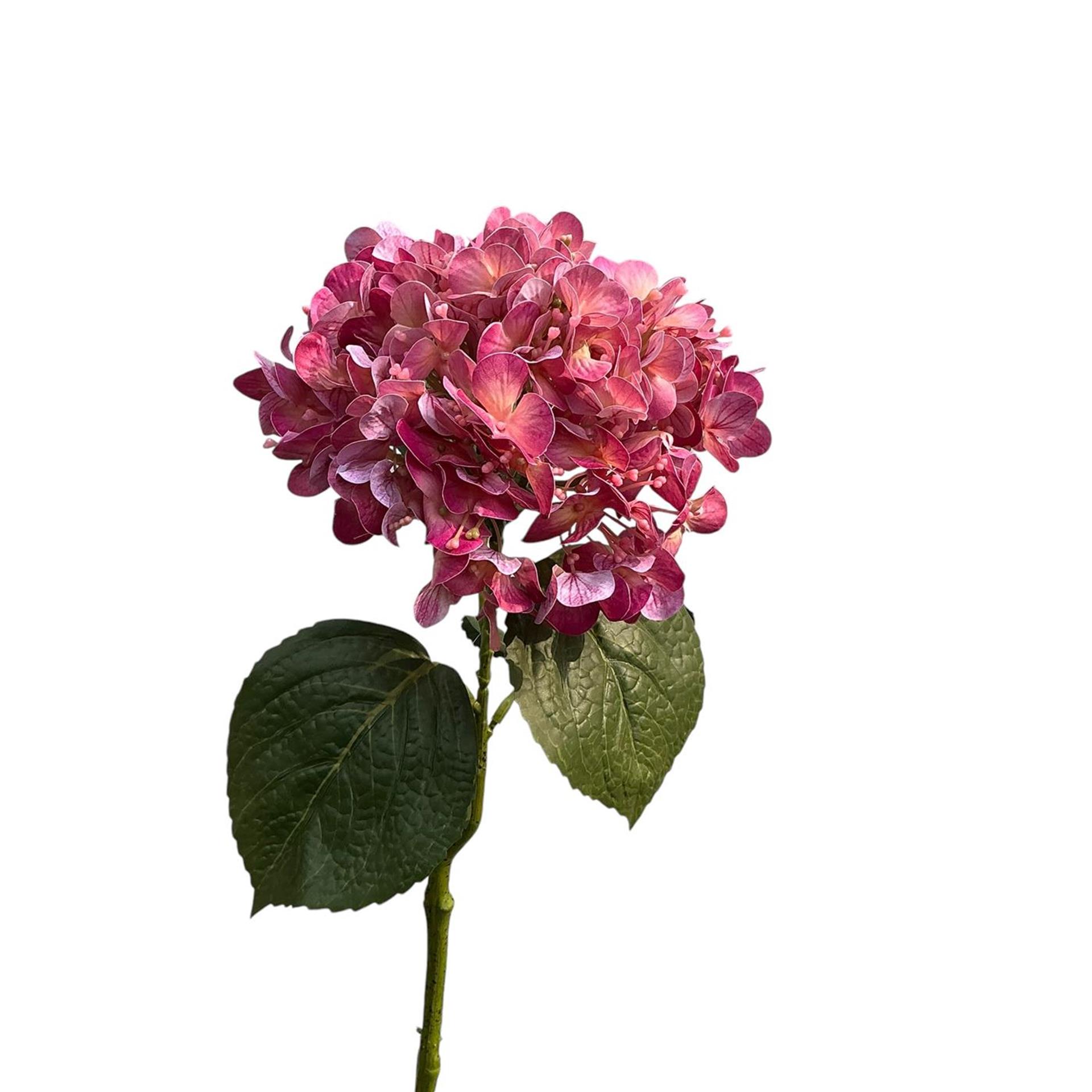 Roberts Collection Kunstbloem hydrangea real touch 75cm mauve