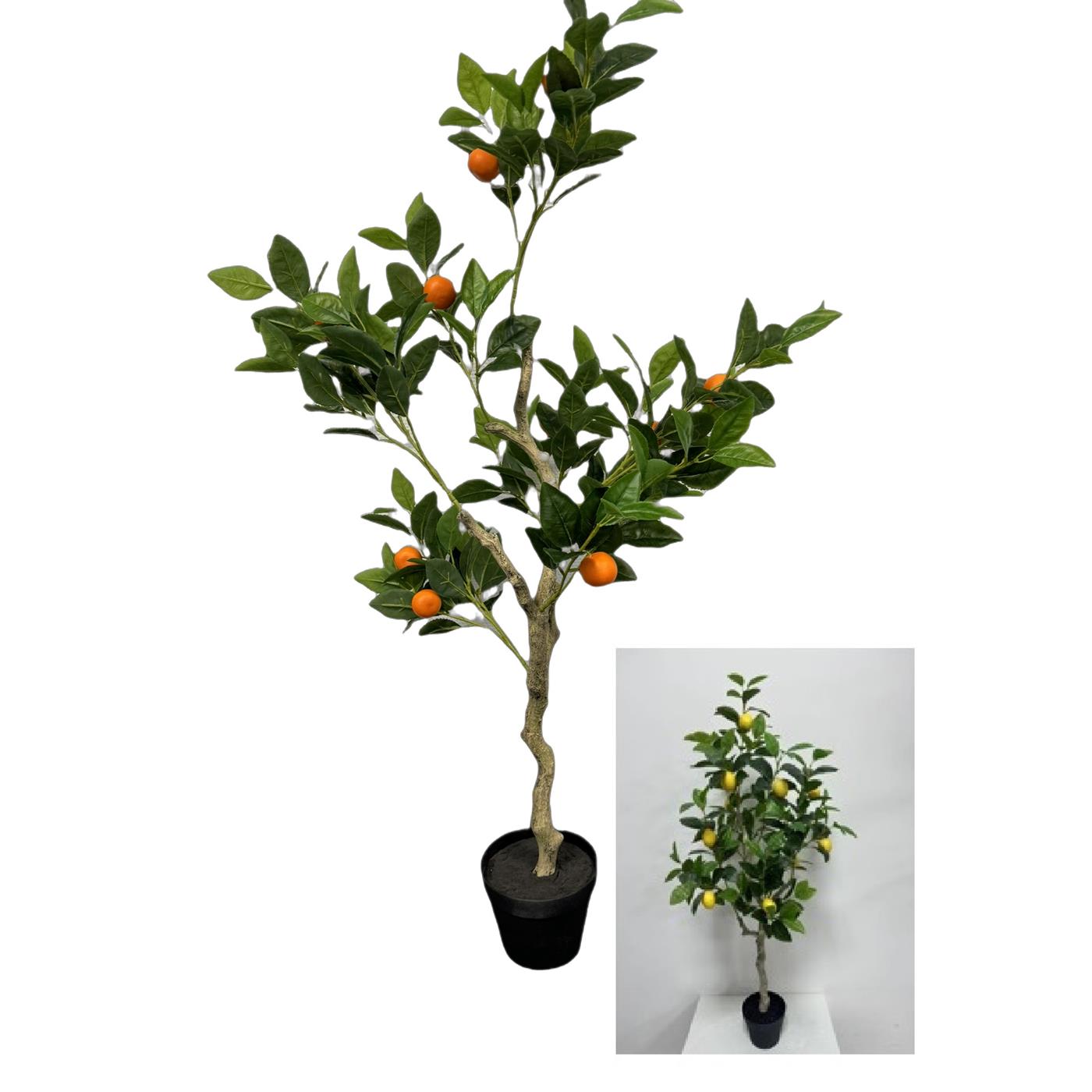 Deco Citroen-/sinaasappelboom H120cm