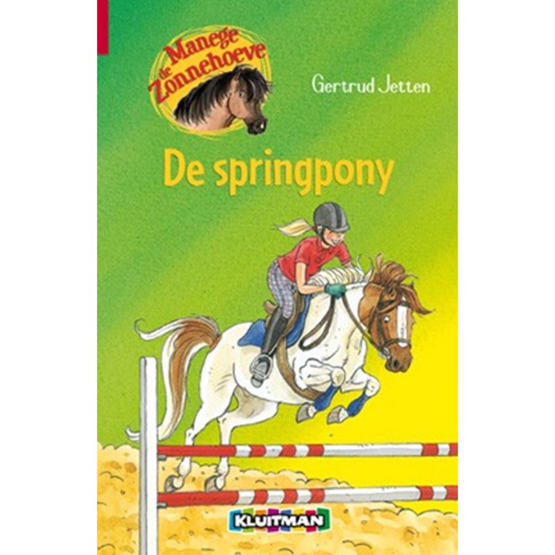 Kluitman Manege de zonnehoeve: de springpony