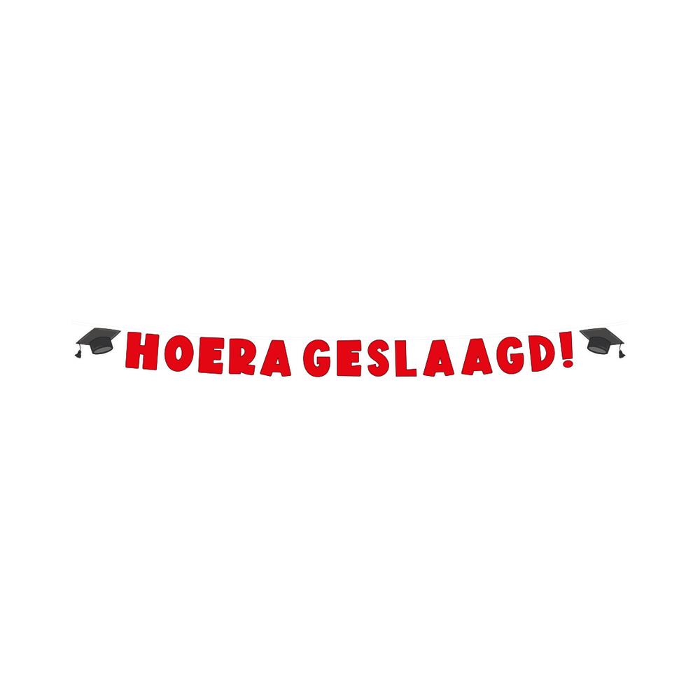 Letter banner - Geslaagd school