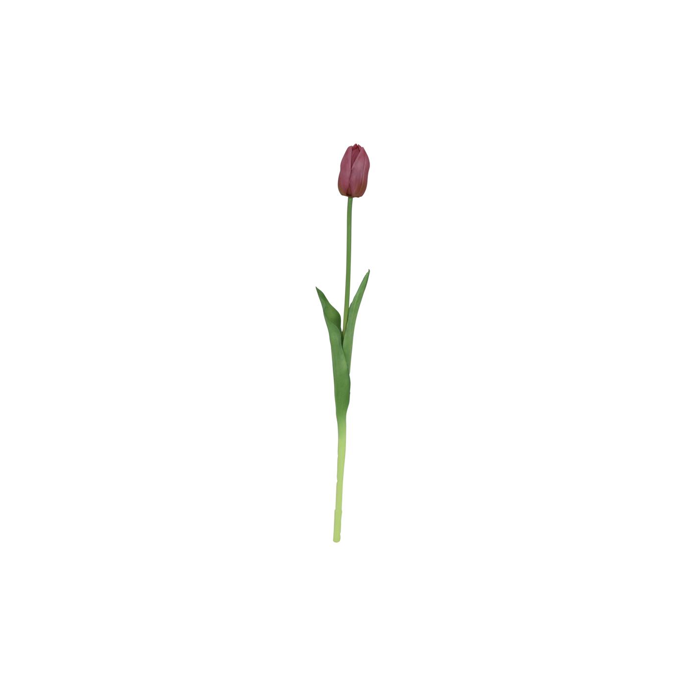 Kunstbloem tulp paars 10x10x47cm