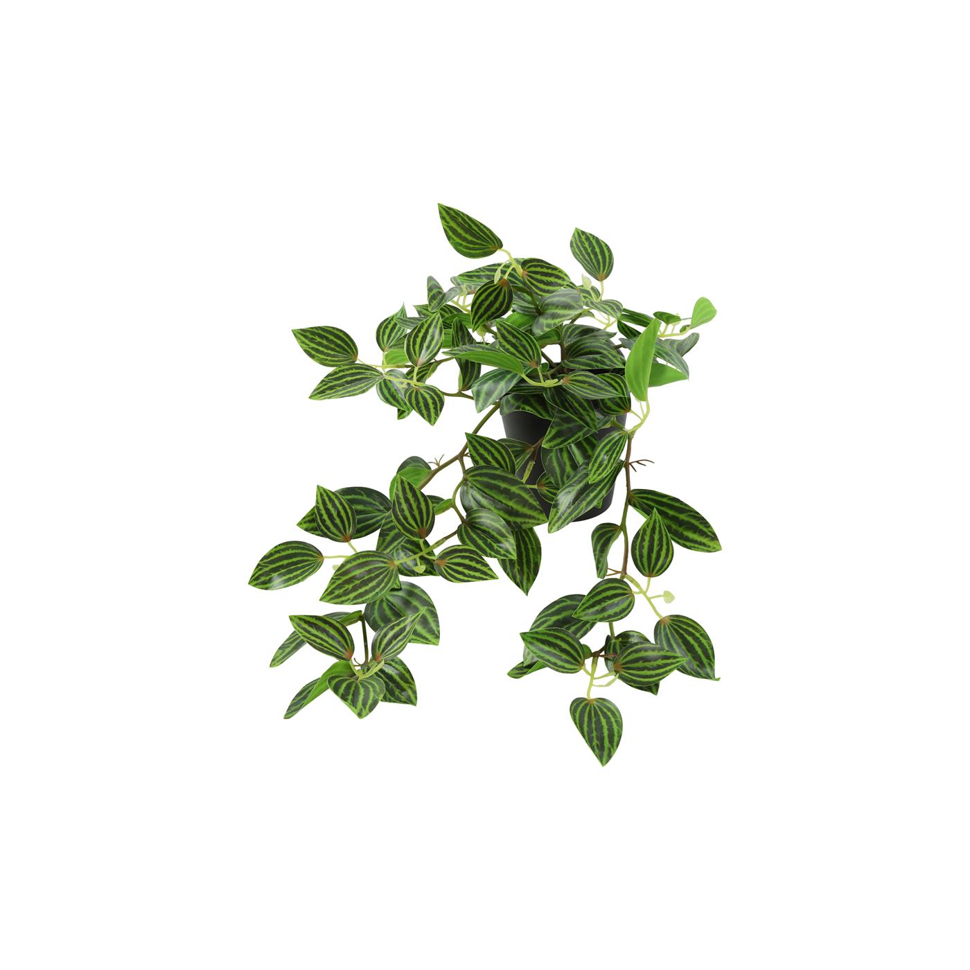 Kunstplant steker/hang Peperomia groen