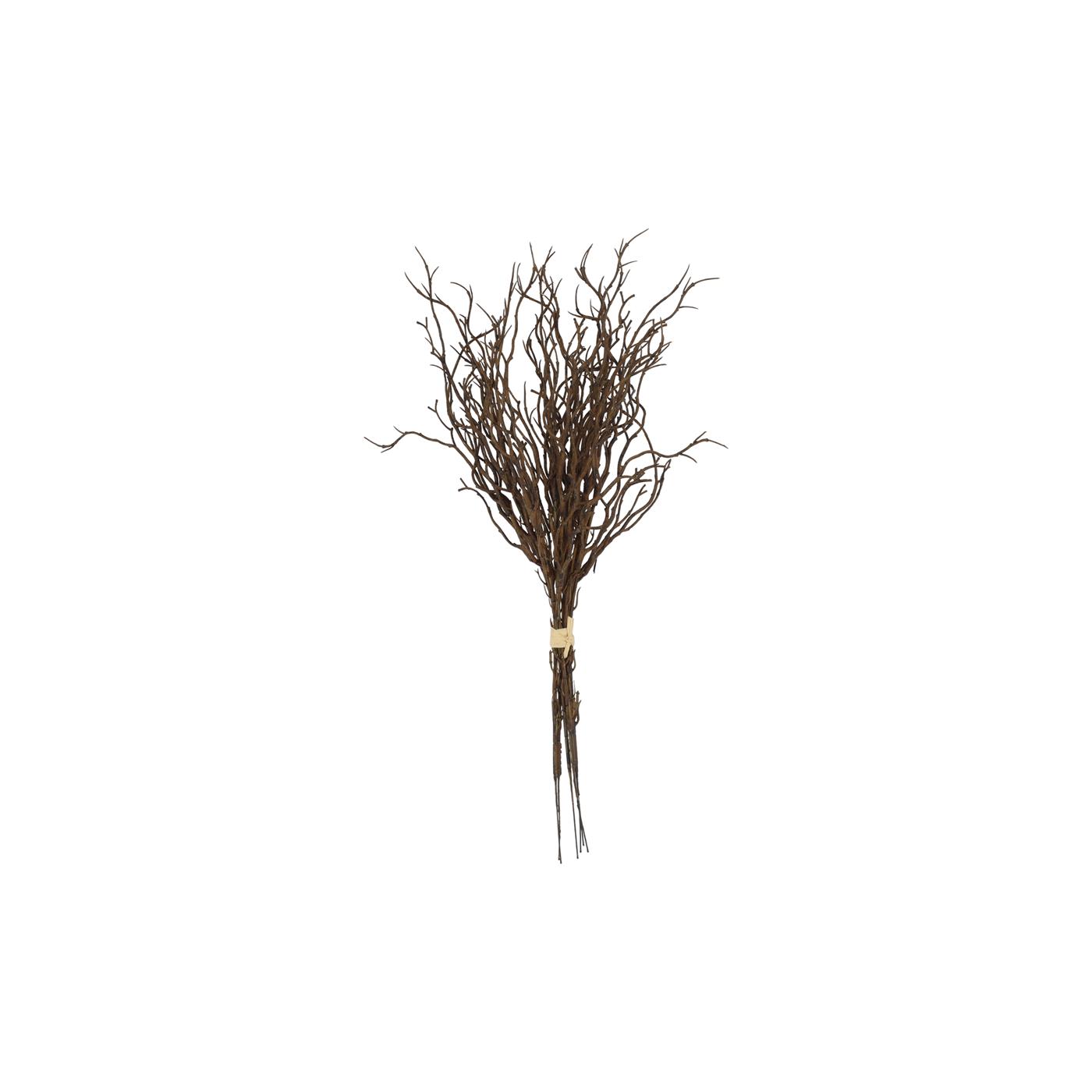 Myrica*6 bruin L9B9H47cm