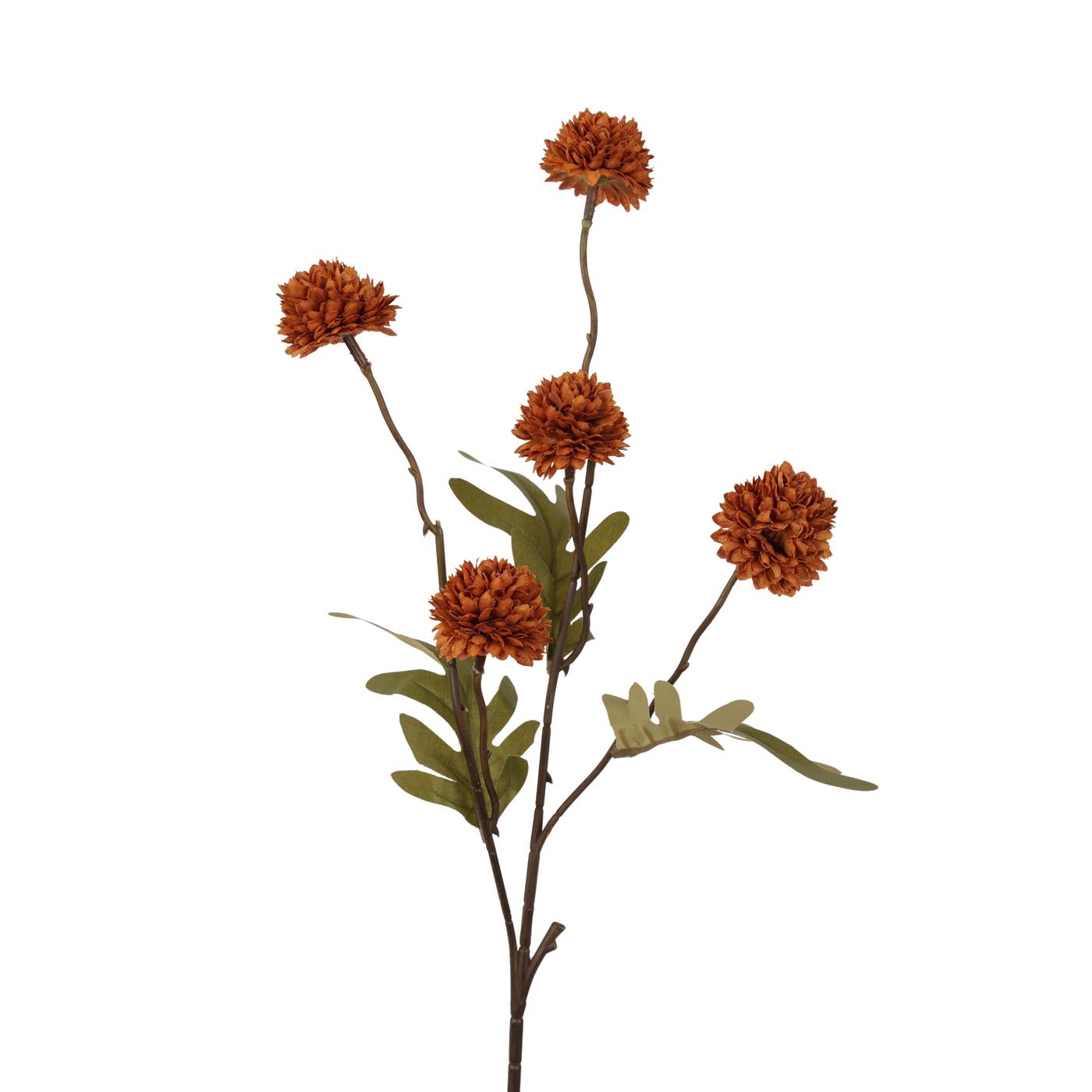Roberts Collection pompom tak 52cm light coffee