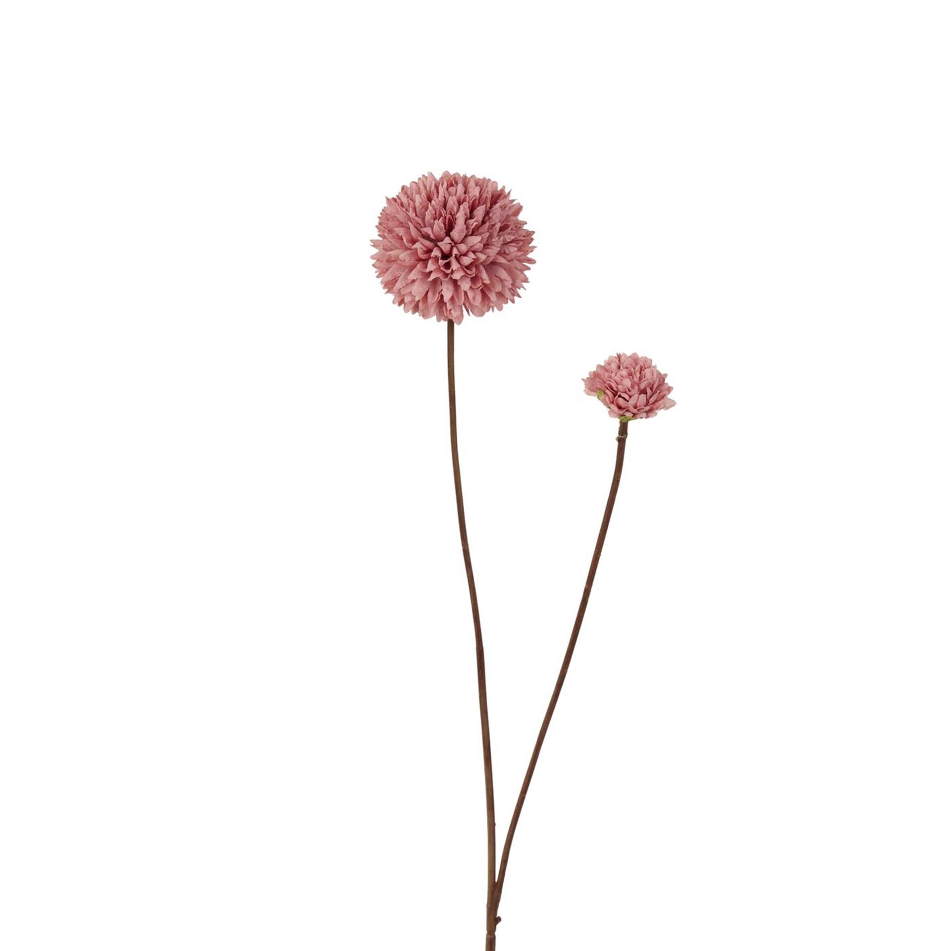 Roberts Collection pompom 66cm old pink