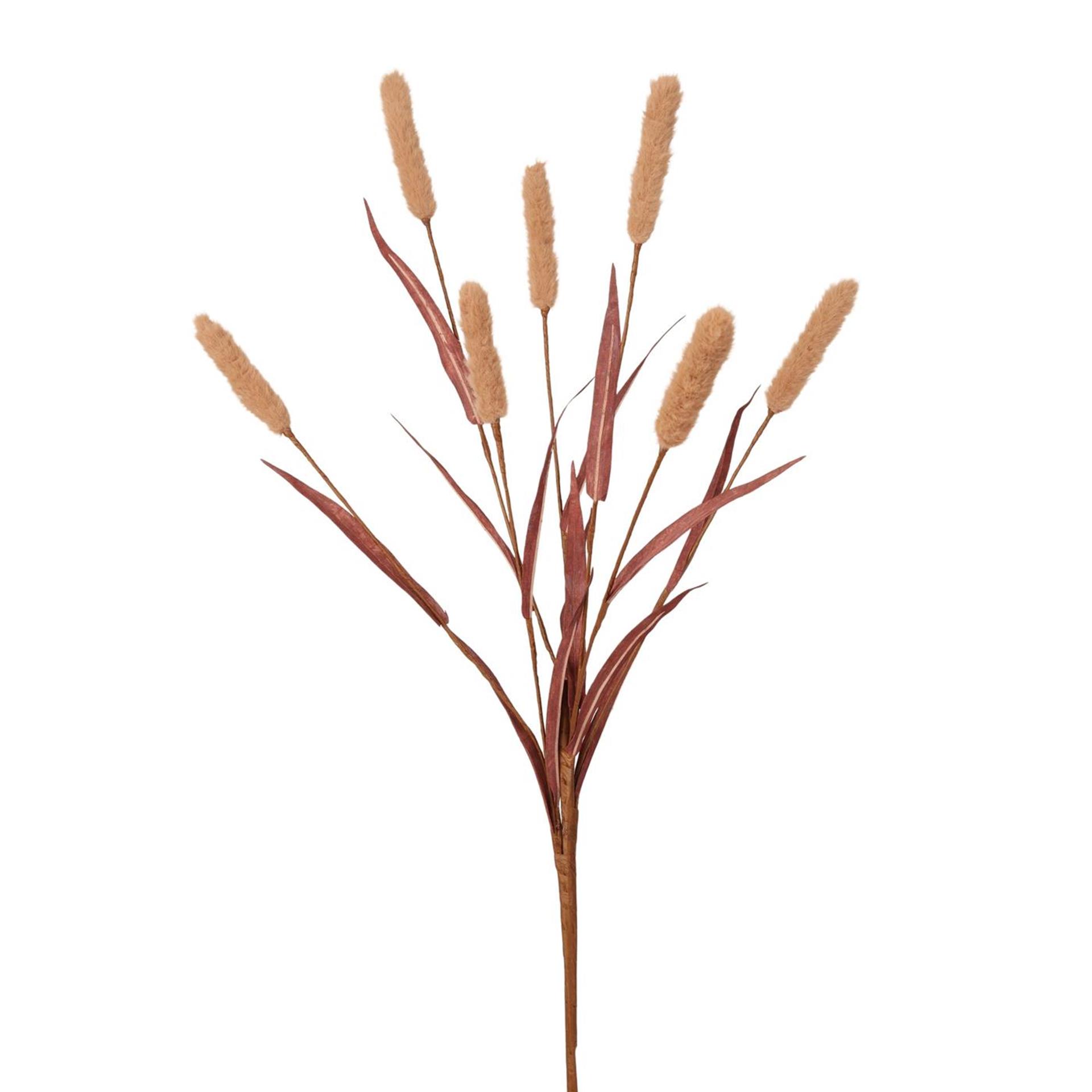 Roberts Collection typha 95cm coffee
