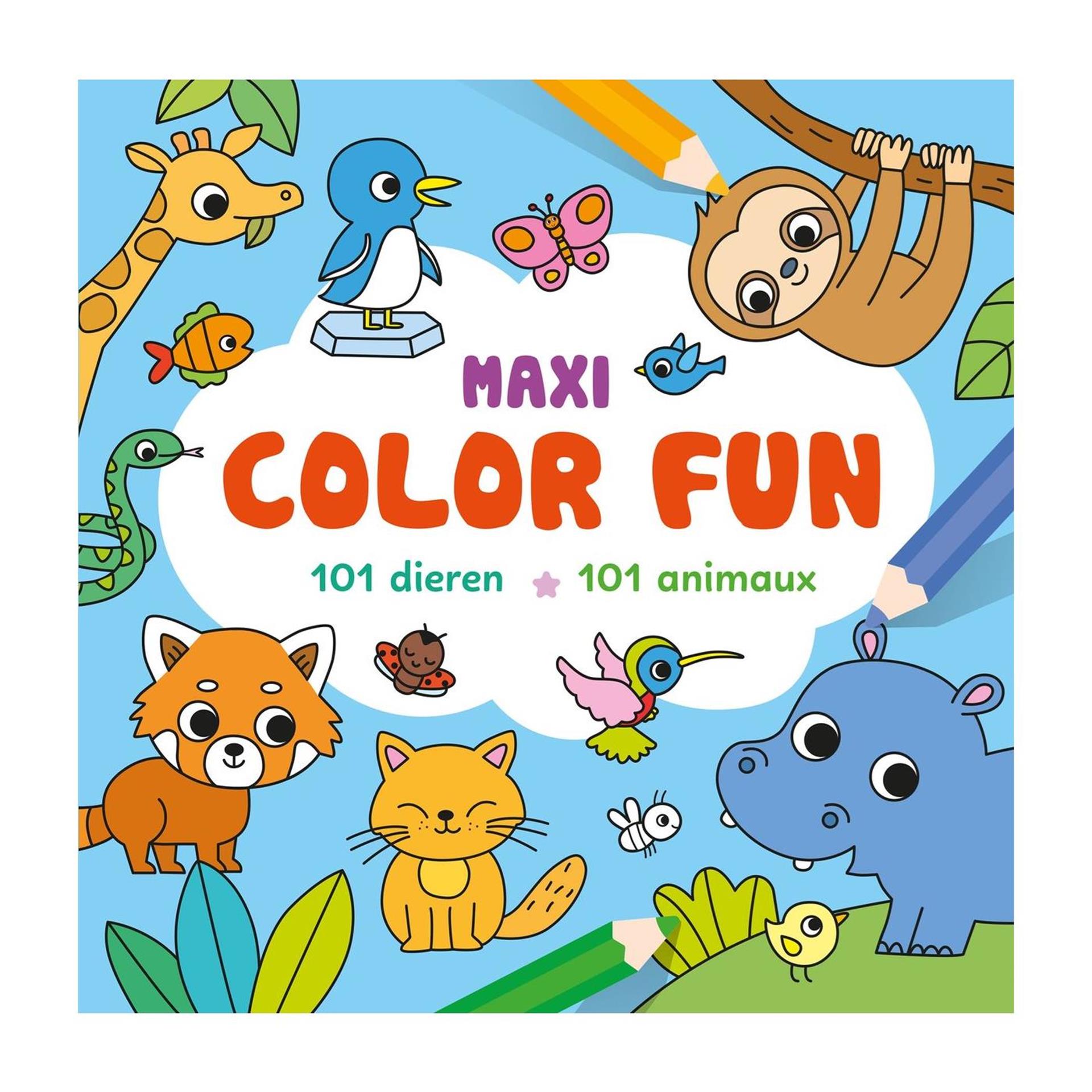 Deltas Maxi color fun - 101 dieren / maxi color fun - 101 animaux