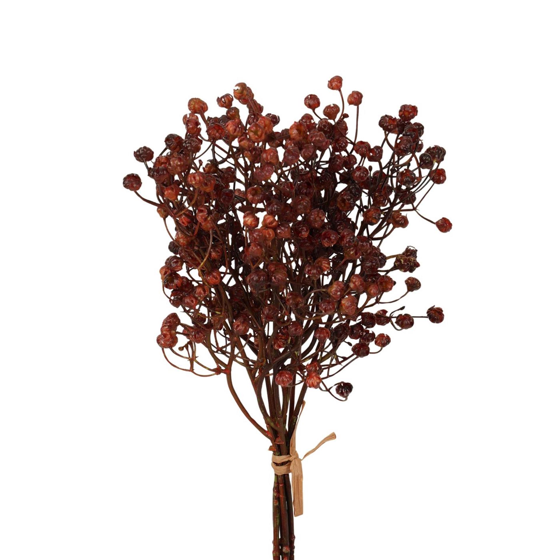 Roberts Collection kunstbloem gips bundle 34cm donker coffee