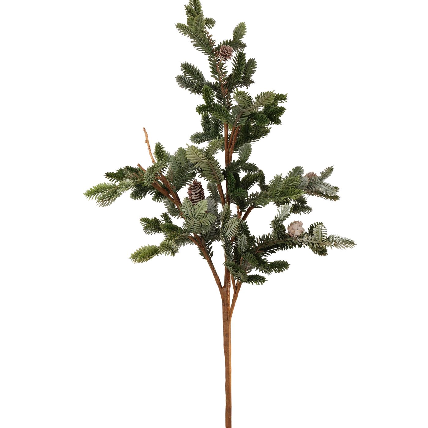 Cederboom 100cm grijs