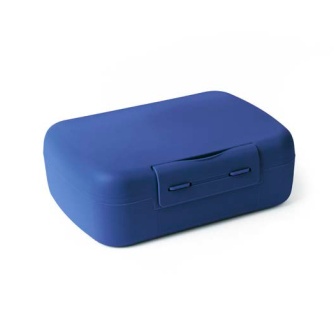 Day To Day lunchbox cobalt 1400ml