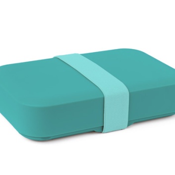 Day To Day lunchbox L reef 1100ml