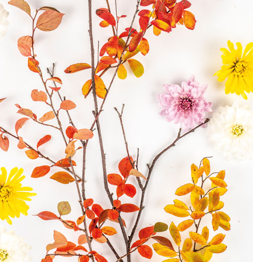Duni servetten Autumn Branch 33x33cm