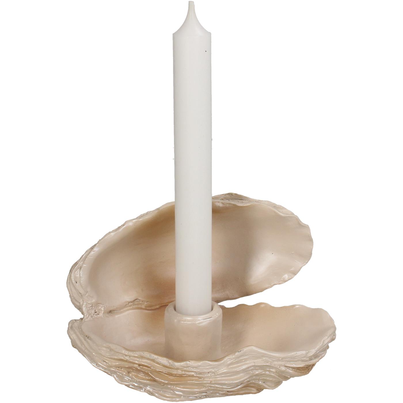 Kandelaar Oester Polyresin H10cm