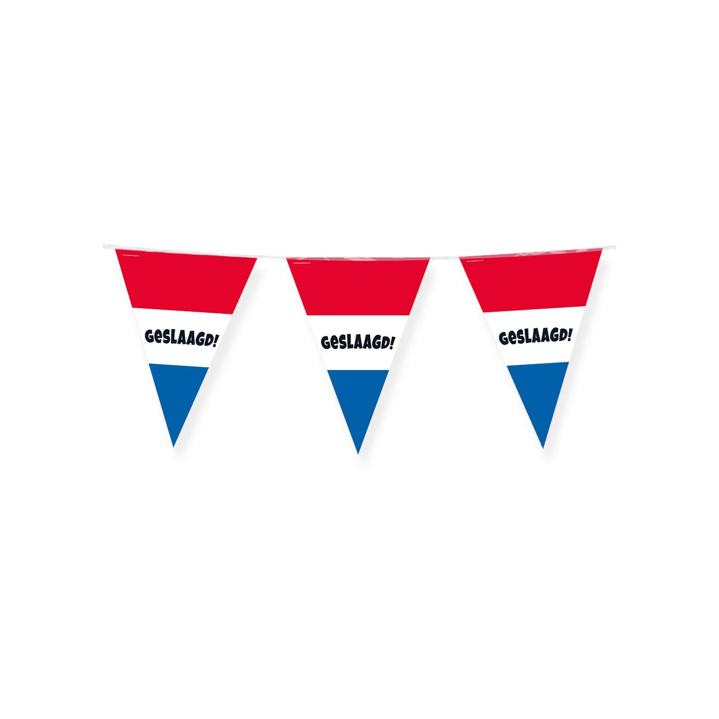 Vlaggenlijn Geslaagd rood/wit/blauw 10m